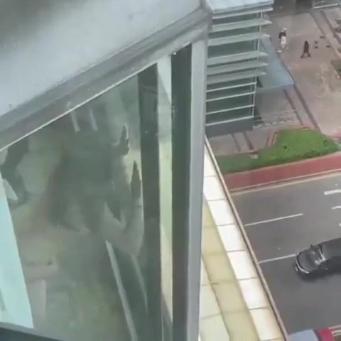 View làm ở công ty hôm nay lạ quá